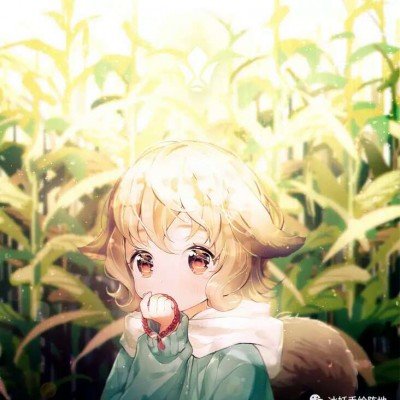 各方同意以伊方十点方案为谈判基础